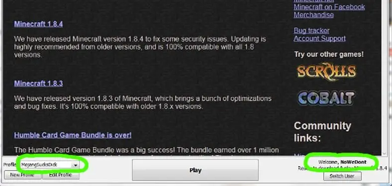 Mojang 'correct' Minecraft username while searching for harassing ID