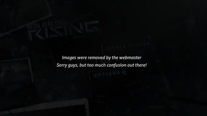 Metal Gear Solid: Rising multiplayer?