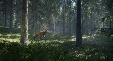 theHunter: Call of the Wild Offers Up 50 Square Miles Of Game