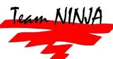 Itagaki-less Team Ninja "powerful"