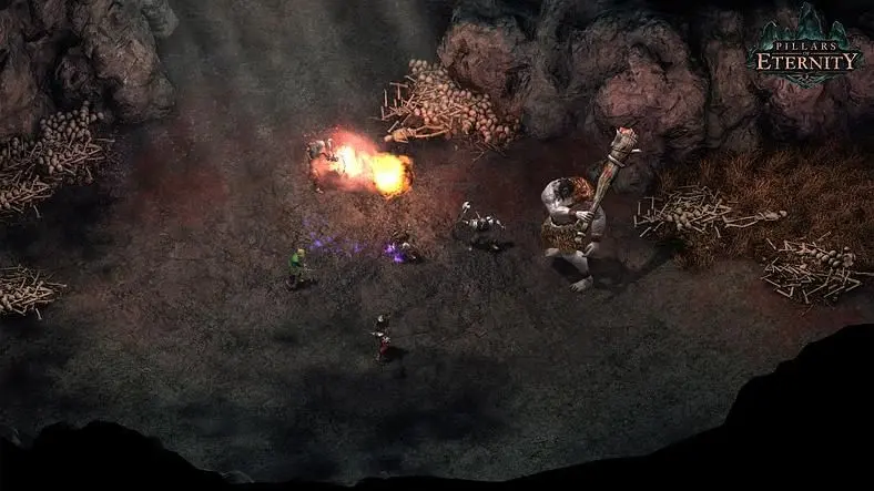 Pillars of Eternity Patch Notes - Patch 3.06