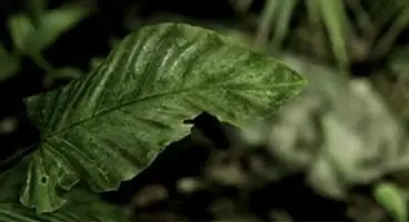 Crytek release new CryEngine 3 tech trailer featuring Crysis 3