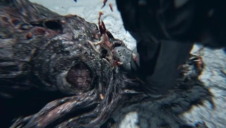More Details Emerge Of Resident Evil 7's Delayed 'Not A Hero' DLC, And Chris Still Packs A Punch (And A Kick)