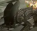 Runner