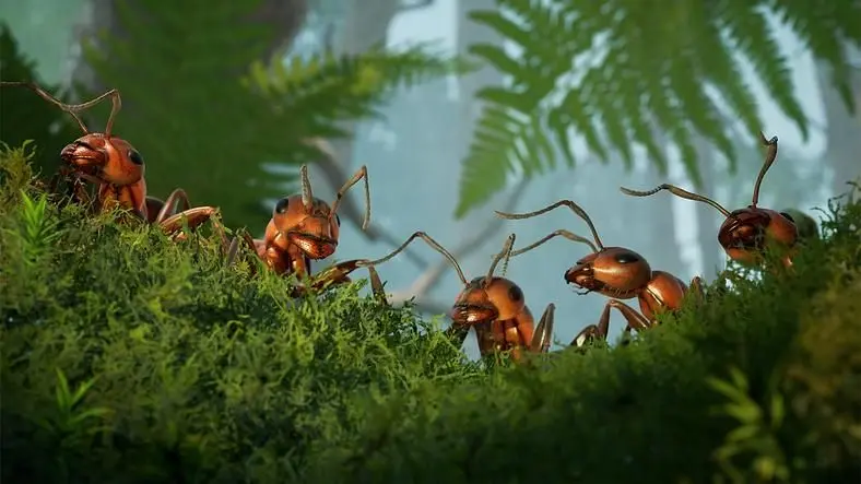 Empire of the Ants Wildlife-packed RTS adventure begins in November