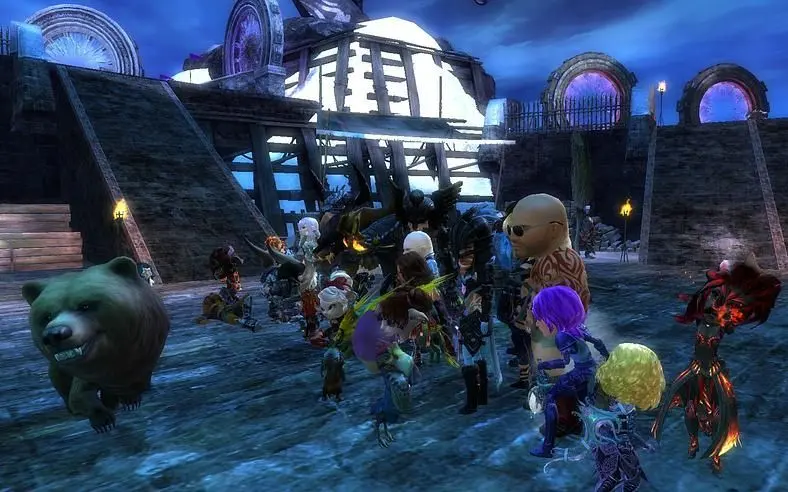 Everybody in Guild Wars 2 has bobbleheads