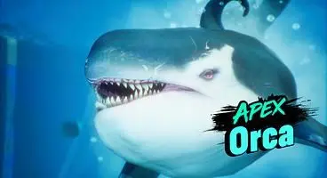 Maneater Apex Predators Location - Where to Find Them?