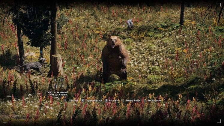 Far Cry 5 - Grizzly Bear Locations