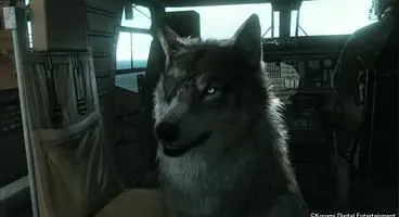 Video games reach creative peak: Metal Gear Solid 5 has a dog with an eye-patch