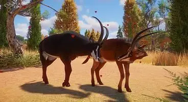 Planet Zoo's Easter Egg Cheats Let You Floof Up Your Animals, Fill the Sky With Balloons