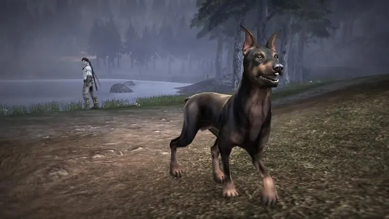Lionhead releases Fable III dog DLC, three new breeds for hero