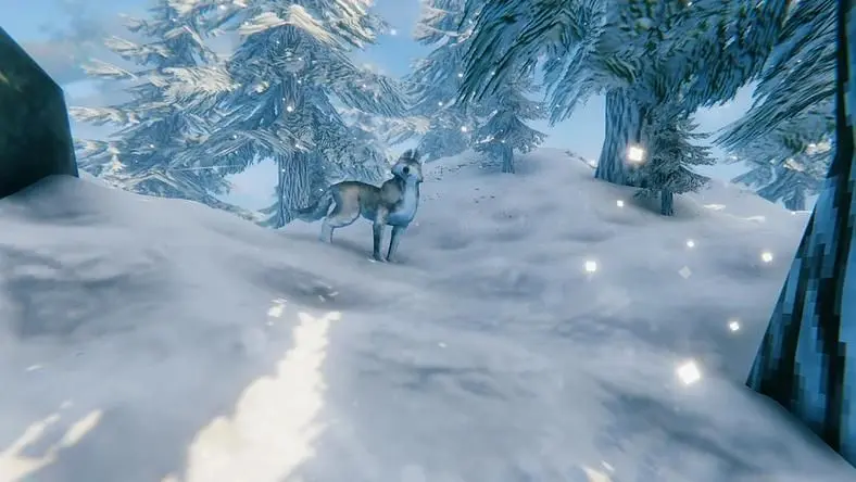 Valheim Animal Taming Guide - How to Tame Boars, Wolves and Loxes