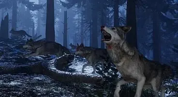 Tannenberg Kicks Off Its Wolf Truce Event