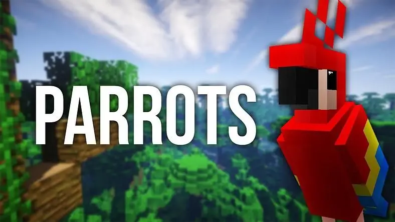 Mojang Will Change How You Tame Parrots In Minecraft After Growing Fears Of Kids Killing Their Birds