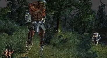 Two Worlds succeeds at what it sets out to provide - a poor man's Oblivion and a simple, unrestrictive introduction to role playing games.