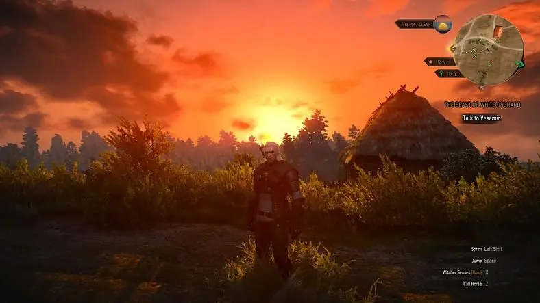 The Witcher 3: Wild Hunt Review-In-Progress