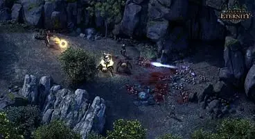 Pillars of Eternity Patch Notes - Patch 3.06