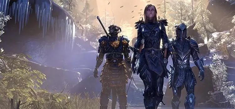 Bethesda details upcoming year for Elder Scrolls Online
