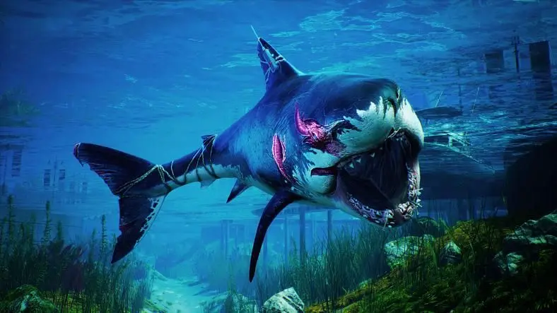 Maneater Patch Notes - Hotfix Update Coming This Week