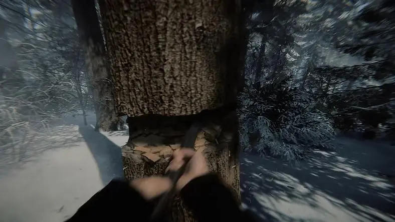 Sons of the Forest Release Date - Everything We Know