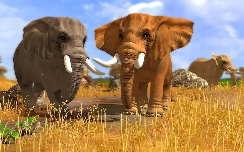 Wildlife Park 3 is expanding on bitComposer Games
