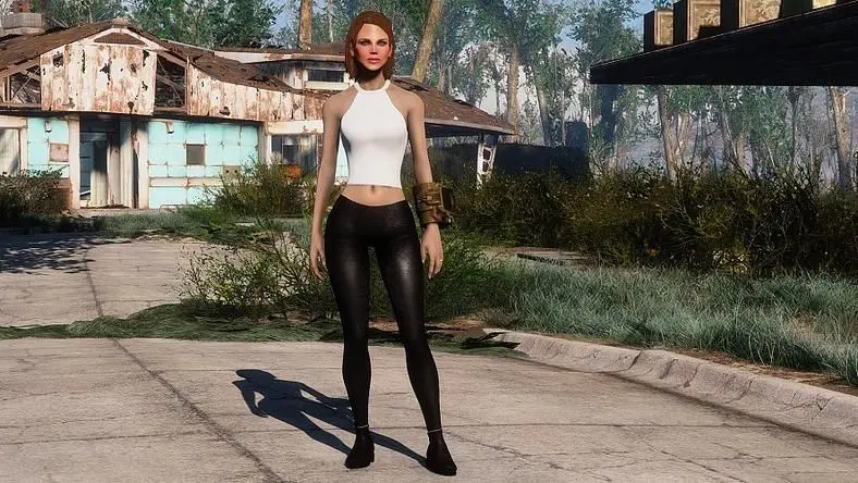 Fallout 4 Mods
