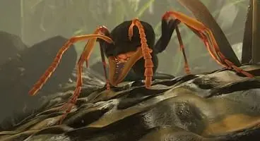 Ant Simulator cancelled after business partners spend crowdfunding money on booze and strippers