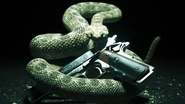 Hitman Absolution's engine to 'rival the best'