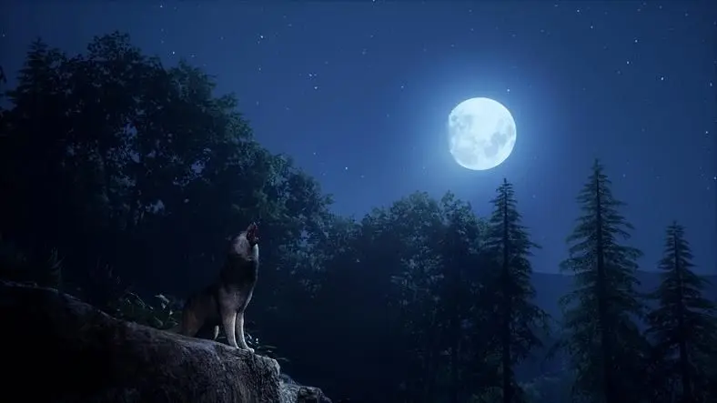 Medieval Dynasty Wolf Location Guide