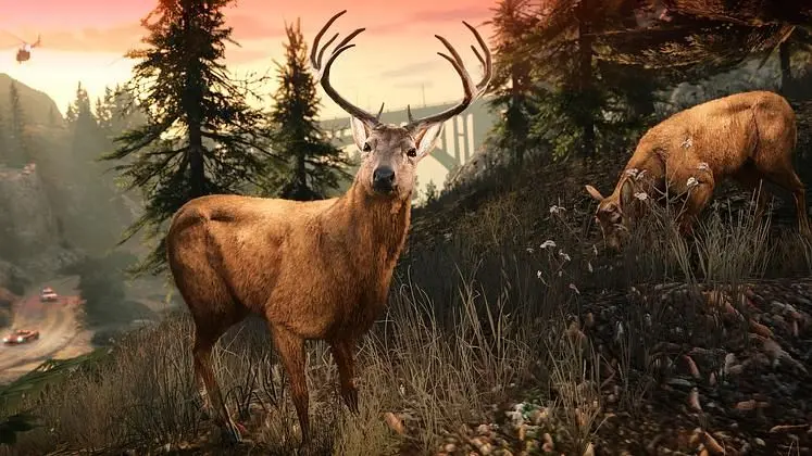 Video Games with Hidden Secrets