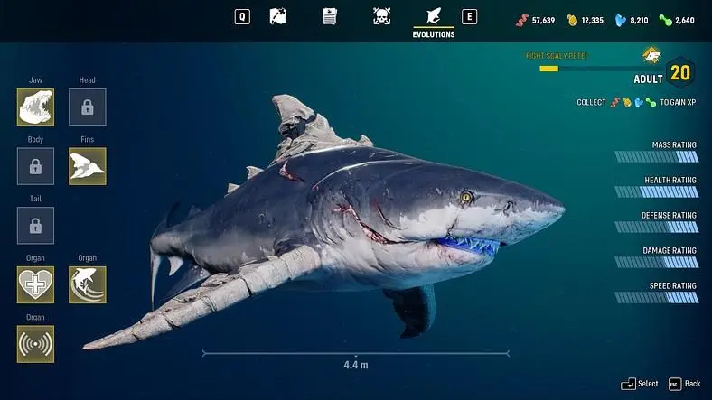 Maneater Evolution Levels - Sources and How to Upgrade