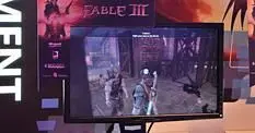 Lionhead: No plans "right now" for PC Fable III features on 360