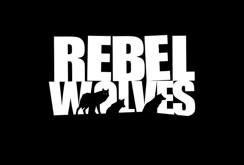 Former CD Projekt Red Developers Announce New Studio Rebel Wolves, working on Dark Fantasy RPG