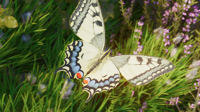 Old World Swallowtail