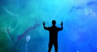 Xbox 360 Child of Eden out mid-June