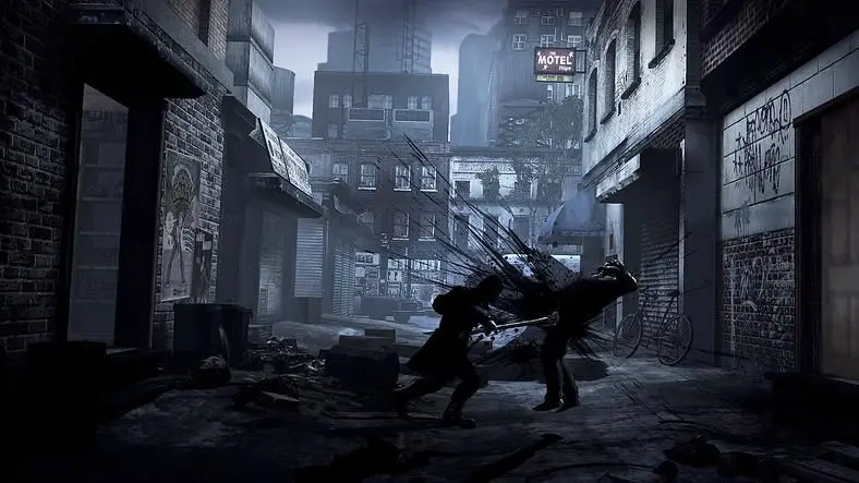 Shadow warriors.