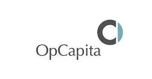 Hilco and OpCapita possible suitors for GAME