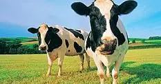 BBC: Games industry "milk" their franchises until boredom hits