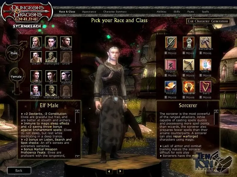 Dungeons & Dragons Online to elect a player council