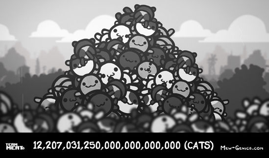 Mew-genics offers over 12 sextillion kitties