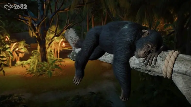 Planet Zoo 2 Release Date (Confirmed October 2026) - Platforms, Pre-Orders & Trailers