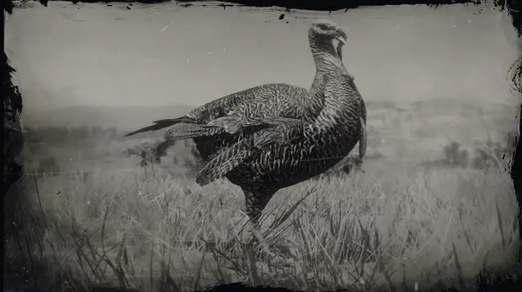 Red Dead Redemption 2 Online Turkey Locations Guide
