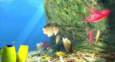 You see I am a PADI Rescue Diver myself. Occasionally, when I went on a diving resort in Hurghada, almost whole future team of “Diver” developers roomed numbers in one hotel… And so the story began.
