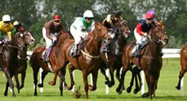 EA has second dig at Acti, "shot" their Modern Warfare "race horse"