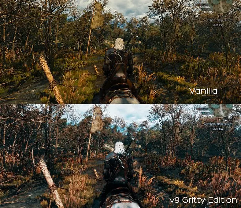 Witcher 3 Mods