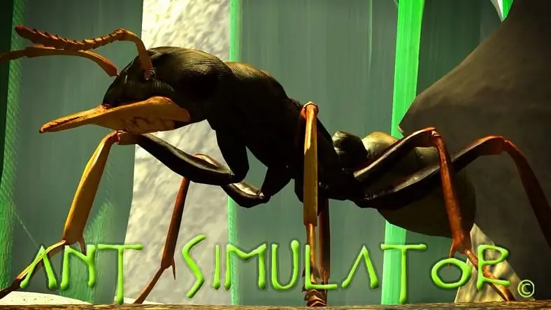 Ant Simulator cancelled after business partners spend crowdfunding money on booze and strippers