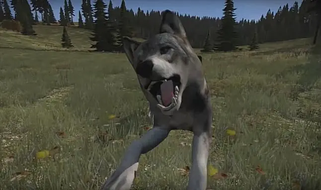 Upcoming Day Z update adding predatory animals