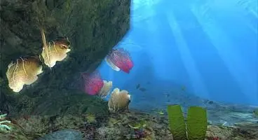 You see I am a PADI Rescue Diver myself. Occasionally, when I went on a diving resort in Hurghada, almost whole future team of “Diver” developers roomed numbers in one hotel… And so the story began.
