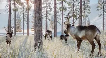 Planet Zoo's First Paid DLC, Arctic Pack, Launches Next Week
