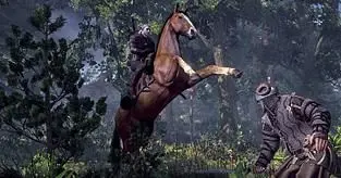 The Witcher 3 is "hand-crafted very precisely," not adopting sandbox experience